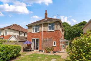 Future Potential- click for photo gallery